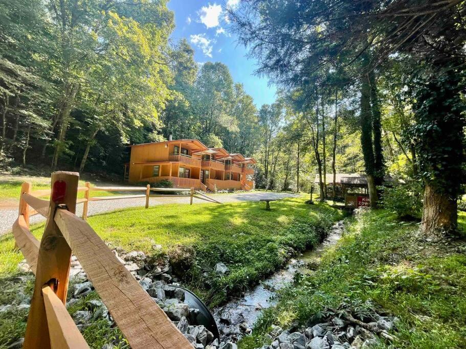 Cute Cabin Creek & Firepit #12 Helen Bagian luar foto
