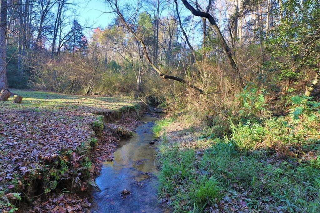 Cute Cabin Creek & Firepit #12 Helen Bagian luar foto